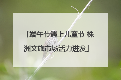 端午节遇上儿童节 株洲文旅市场活力迸发