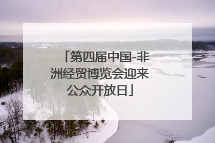 第四届中国-非洲经贸博览会迎来公众开放日
