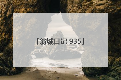翁城日记 935