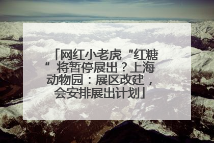 网红小老虎“红糖”将暂停展出？上海动物园：展区改建，会安排展出计划