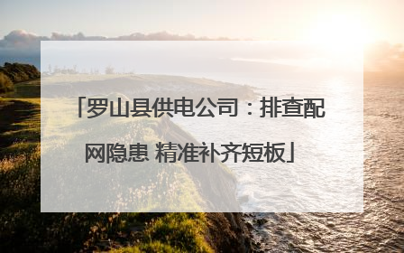 罗山县供电公司：排查配网隐患 精准补齐短板