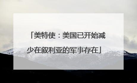 美特使：美国已开始减少在叙利亚的军事存在