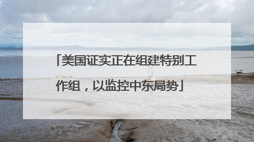 美国证实正在组建特别工作组，以监控中东局势