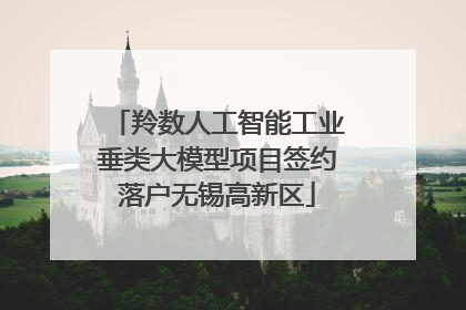 羚数人工智能工业垂类大模型项目签约落户无锡高新区