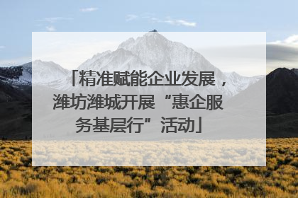 精准赋能企业发展，潍坊潍城开展“惠企服务基层行”活动