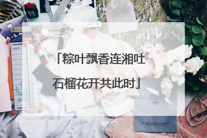 粽叶飘香连湘吐 石榴花开共此时
