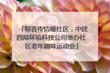 粽香传情暖社区，中建四局环境科技公司举办社区老年趣味运动会
