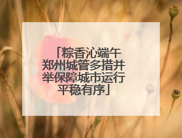 粽香沁端午 郑州城管多措并举保障城市运行平稳有序