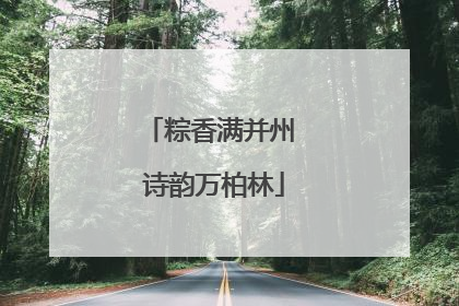 粽香满并州 诗韵万柏林