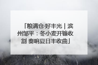 粮满仓·好丰光｜滨州邹平：冬小麦开镰收割 奏响夏日丰收曲