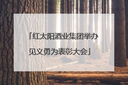 红太阳酒业集团举办见义勇为表彰大会