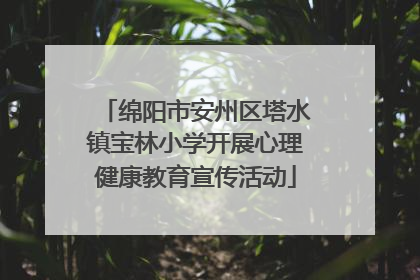 绵阳市安州区塔水镇宝林小学开展心理健康教育宣传活动