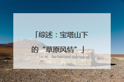 综述：宝塔山下的“草原风情”
