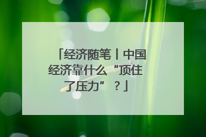 经济随笔丨中国经济靠什么“顶住了压力”？