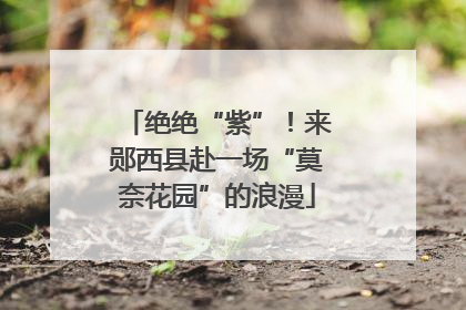 绝绝“紫”！来郧西县赴一场“莫奈花园”的浪漫