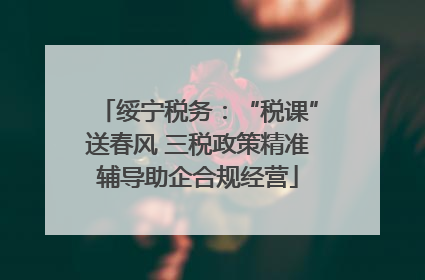 绥宁税务：“税课”送春风 三税政策精准辅导助企合规经营