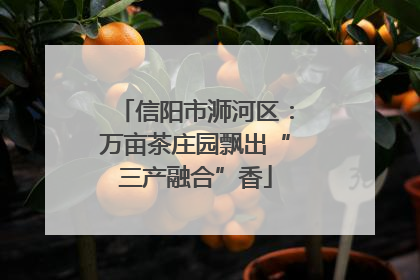 信阳市浉河区：万亩茶庄园飘出“三产融合”香