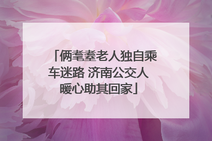俩耄耋老人独自乘车迷路 济南公交人暖心助其回家