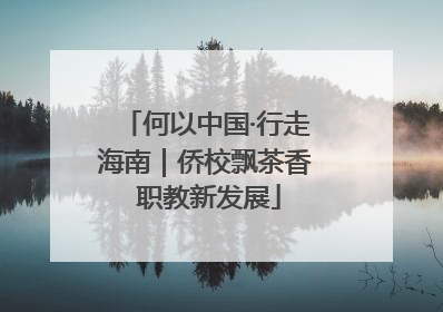 何以中国·行走海南｜侨校飘茶香 职教新发展