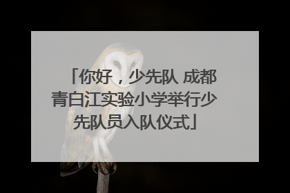 你好，少先队 成都青白江实验小学举行少先队员入队仪式