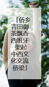 侨乡青田御茶飘香西班牙 架起中西文化交流桥梁