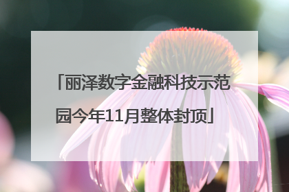 丽泽数字金融科技示范园今年11月整体封顶