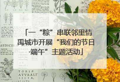 一“粽”串联邻里情 禹城市开展“我们的节日·端午”主题活动