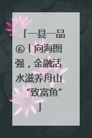 一县一品⑥丨向海图强，金融活水滋养舟山“致富鱼”