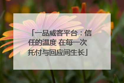 一品威客平台：信任的温度 在每一次托付与回应间生长