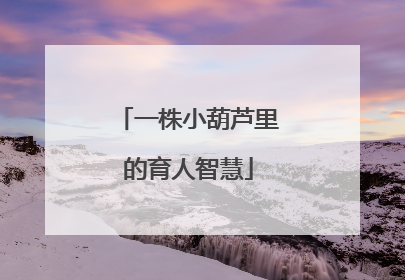一株小葫芦里的育人智慧