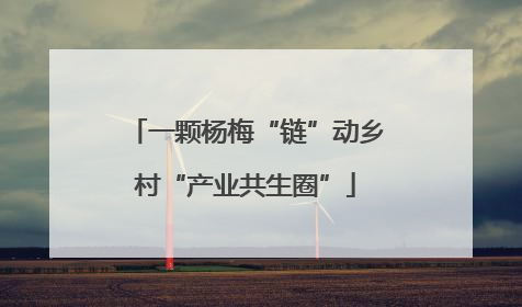 一颗杨梅“链”动乡村“产业共生圈”