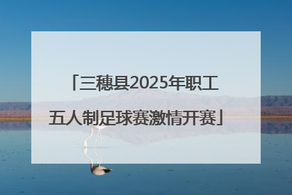 三穗县2025年职工五人制足球赛激情开赛