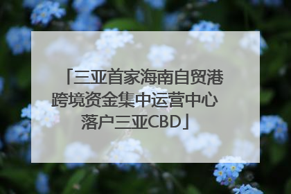 三亚首家海南自贸港跨境资金集中运营中心落户三亚CBD