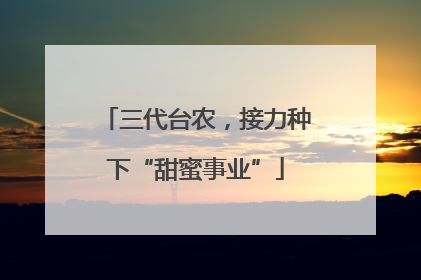 三代台农，接力种下“甜蜜事业”