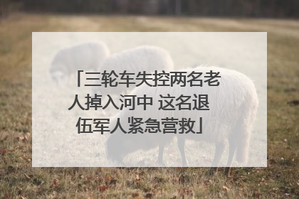 三轮车失控两名老人掉入河中 这名退伍军人紧急营救