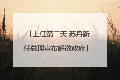 上任第二天 苏丹新任总理宣布解散政府