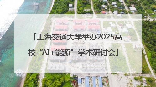 上海交通大学举办2025高校“AI+能源”学术研讨会
