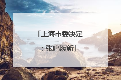 上海市委决定：张鸣履新