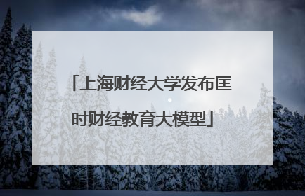 上海财经大学发布匡时财经教育大模型