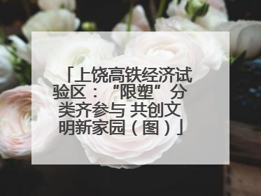 上饶高铁经济试验区：“限塑”分类齐参与 共创文明新家园（图）