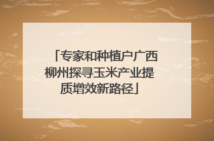 专家和种植户广西柳州探寻玉米产业提质增效新路径