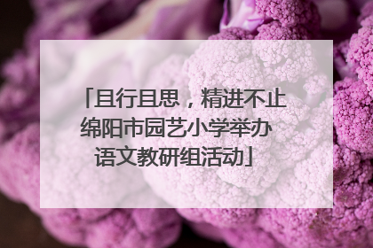 且行且思，精进不止 绵阳市园艺小学举办语文教研组活动