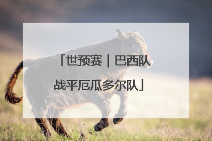 世预赛｜巴西队战平厄瓜多尔队
