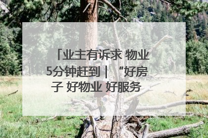 业主有诉求 物业5分钟赶到｜“好房子 好物业 好服务”系列报道④