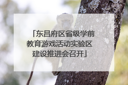 东昌府区省级学前教育游戏活动实验区建设推进会召开