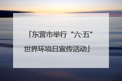 东营市举行“六·五”世界环境日宣传活动