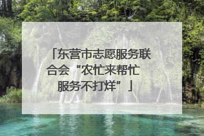 东营市志愿服务联合会“农忙来帮忙 服务不打烊”