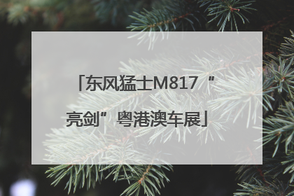 东风猛士M817“亮剑”粤港澳车展