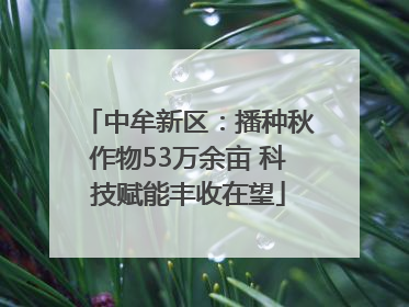 中牟新区：播种秋作物53万余亩 科技赋能丰收在望