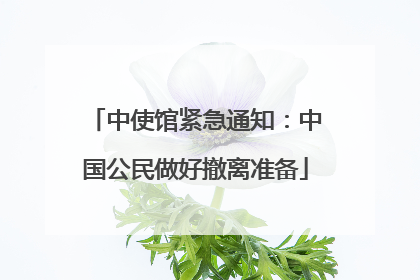 中使馆紧急通知：中国公民做好撤离准备